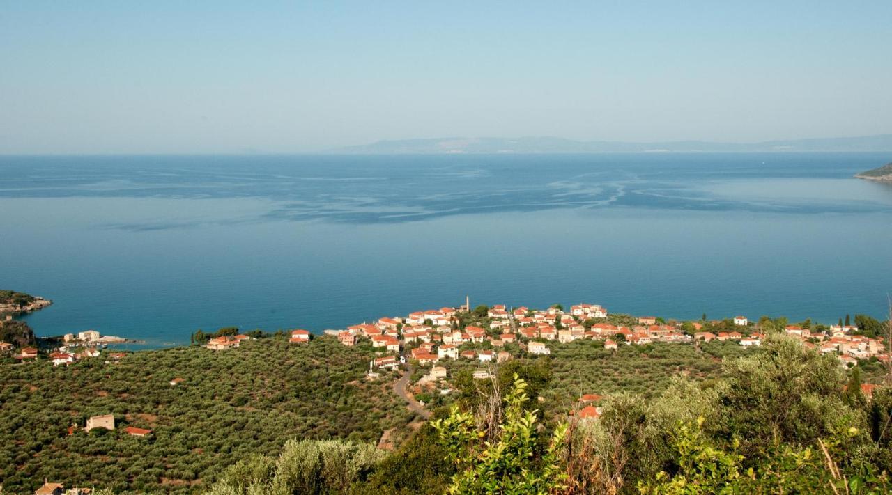 Villa Pyrgos Fassea Kardamyli Exterior foto